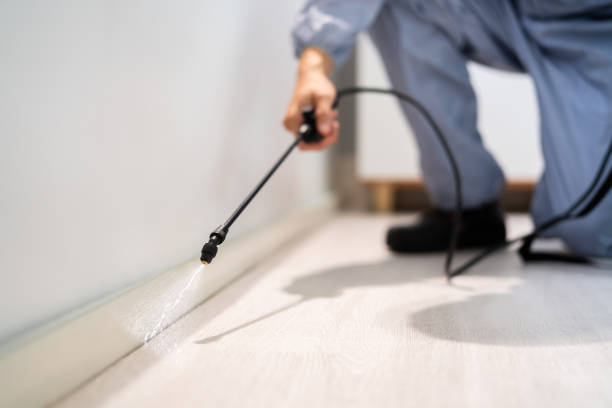 Bed Bug Pre-Treatment Preparation Assessment in Effingham