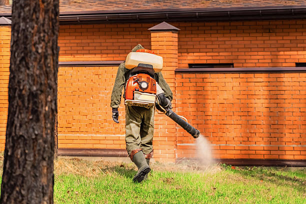 Bed Bug Clearance Verification and Documentation in Effingham